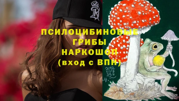 ПСИЛОЦИБИНОВЫЕ ГРИБЫ Беломорск