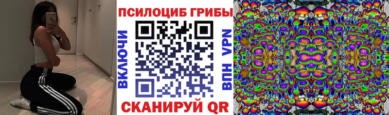 Псилоцибиновые грибы Cubensis  цены   Пущино 