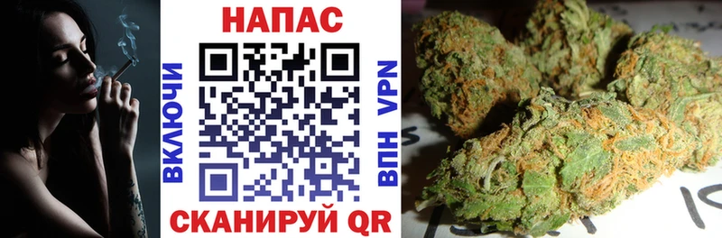 Каннабис SATIVA & INDICA цена наркотик Пущино